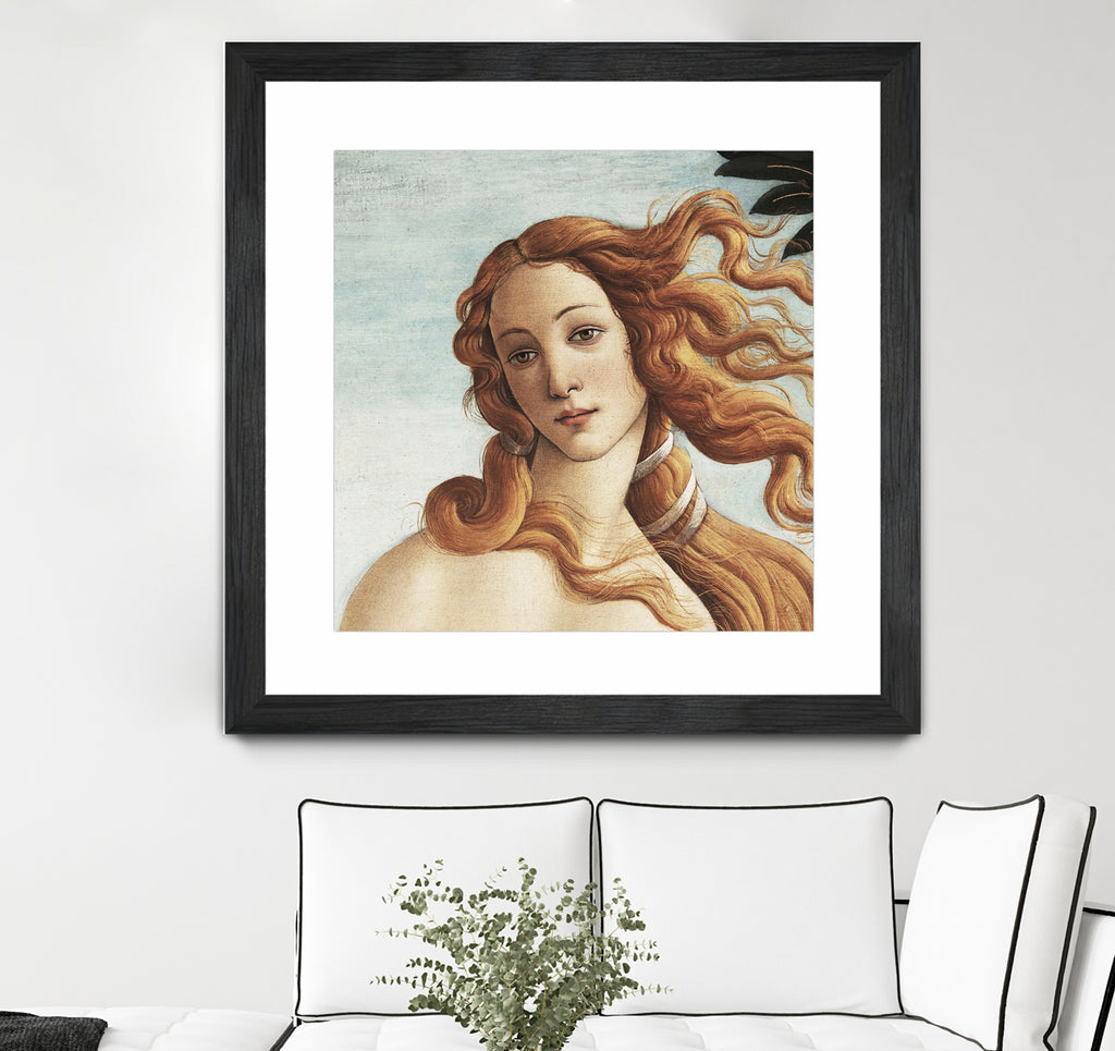 The Birth of Venus by Sandro Botticelli on GIANT ART - museum masters 