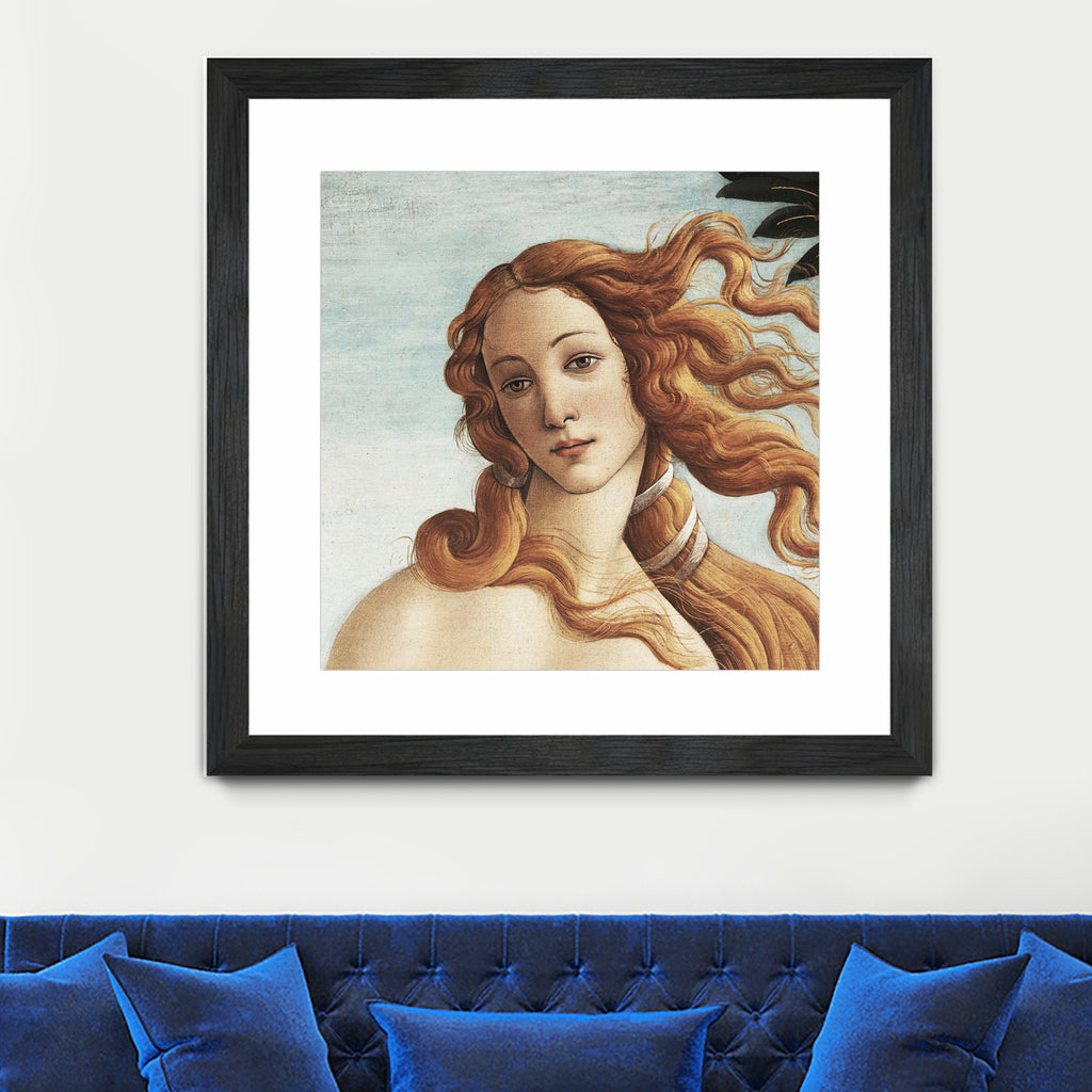 The Birth of Venus by Sandro Botticelli on GIANT ART - museum masters 