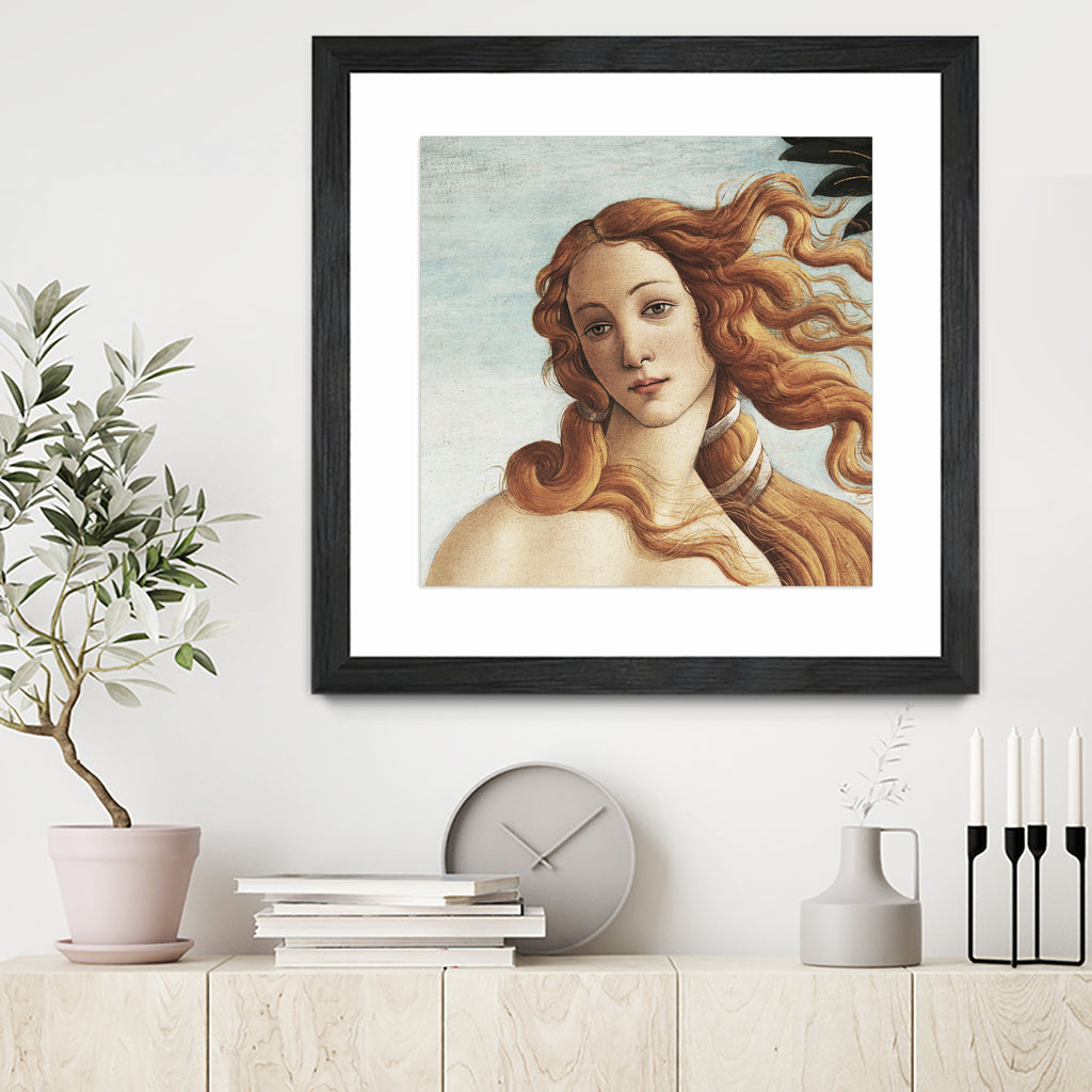 The Birth of Venus by Sandro Botticelli on GIANT ART - museum masters 