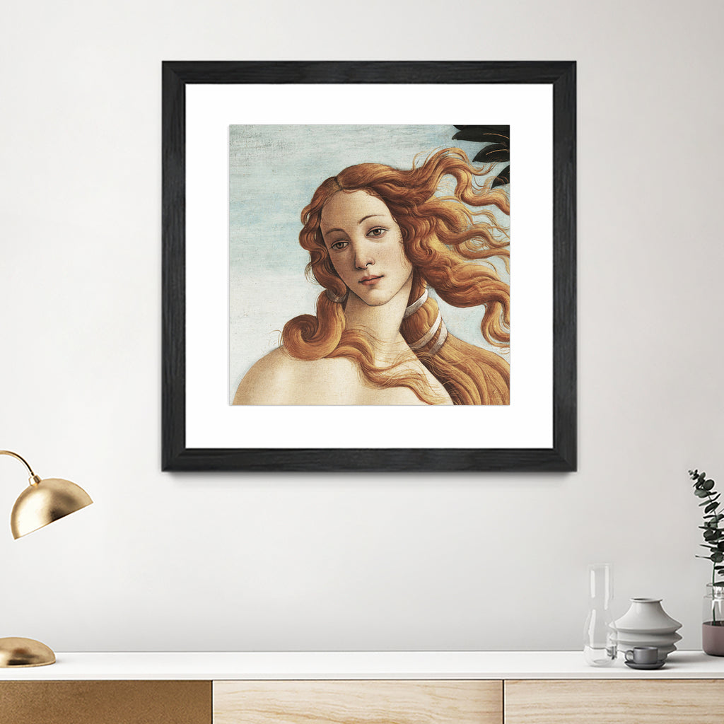 The Birth of Venus by Sandro Botticelli on GIANT ART - museum masters 