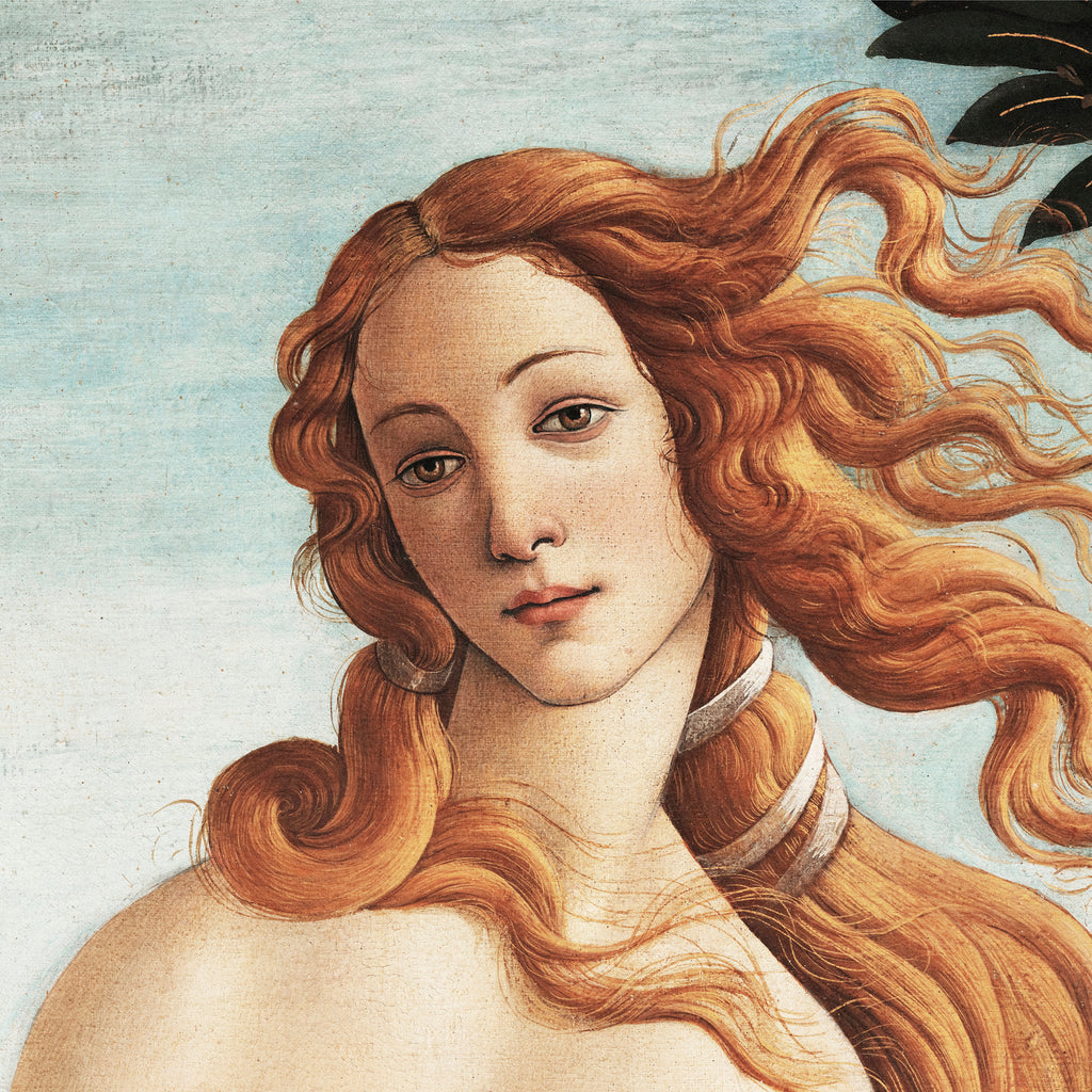 The Birth of Venus by Sandro Botticelli on GIANT ART - museum masters 