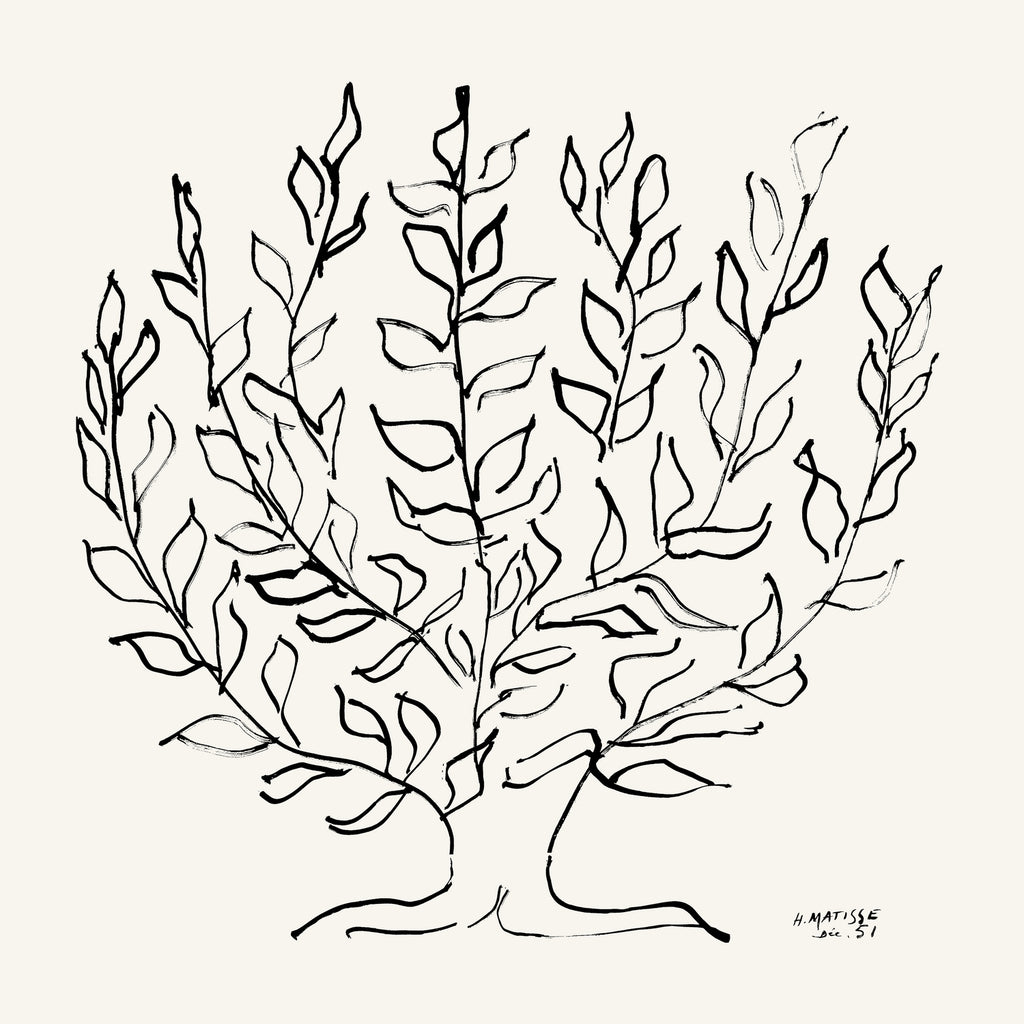 L'arbre Platane by Henri Matisse  on GIANT ART - museums