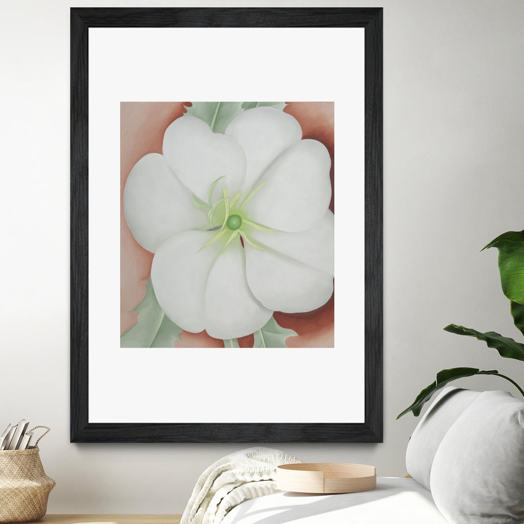 White Flower on Red Earth, No.1, 1943 by Georgia  O'keeffe on GIANT ART - botanical