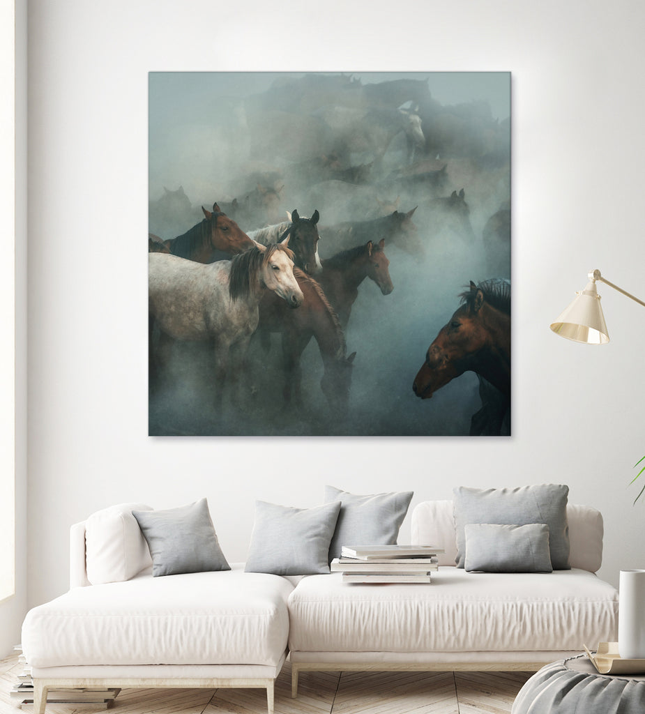 Lost Horses by Huseyin on GIANT ART - animals kapadokya