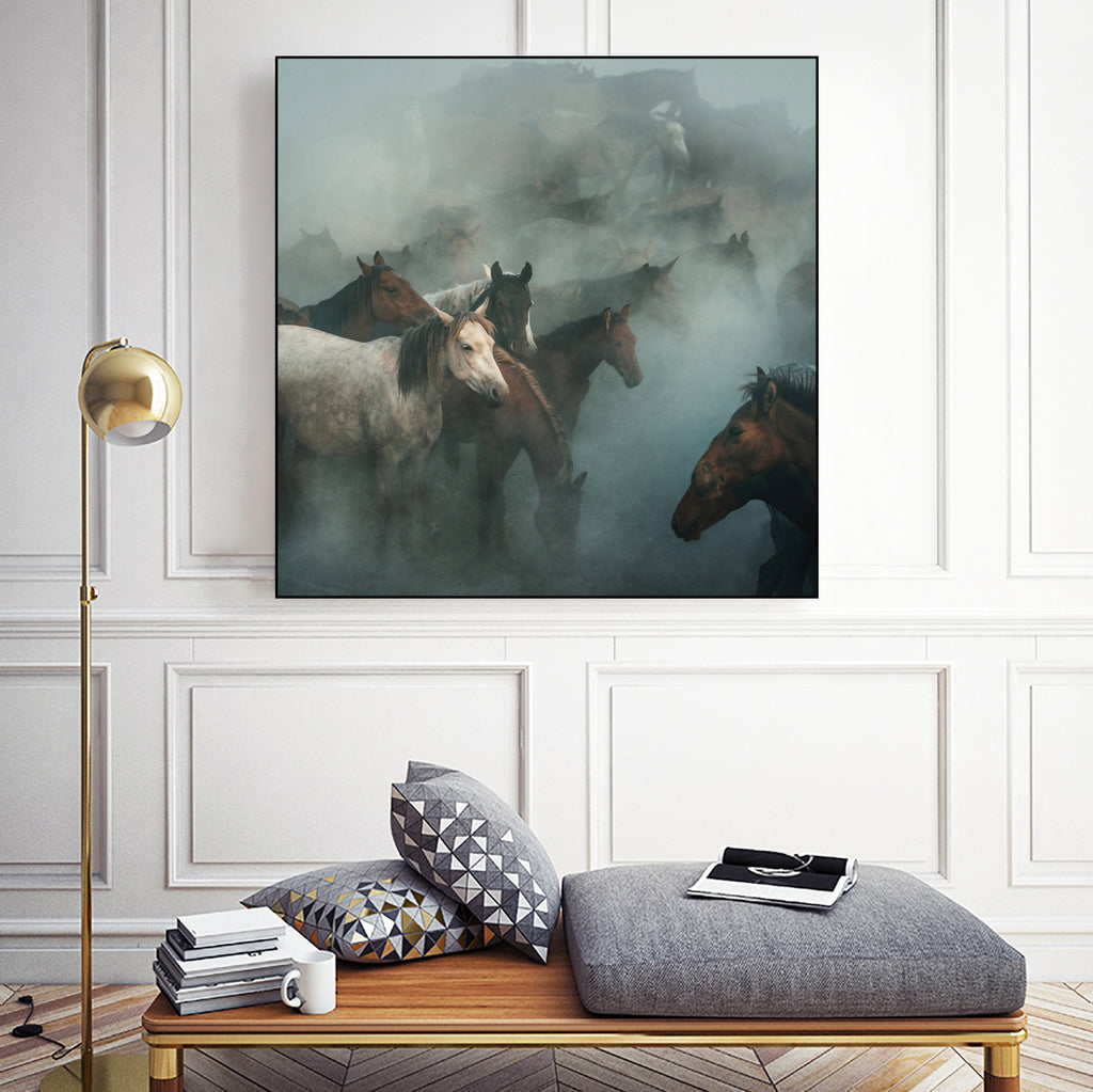 Lost Horses by Huseyin on GIANT ART - animals kapadokya