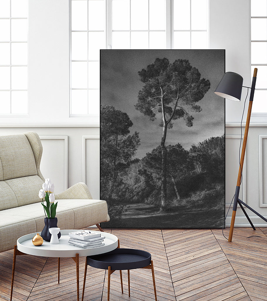 Arbores  by Pepa on GIANT ART - black botanical