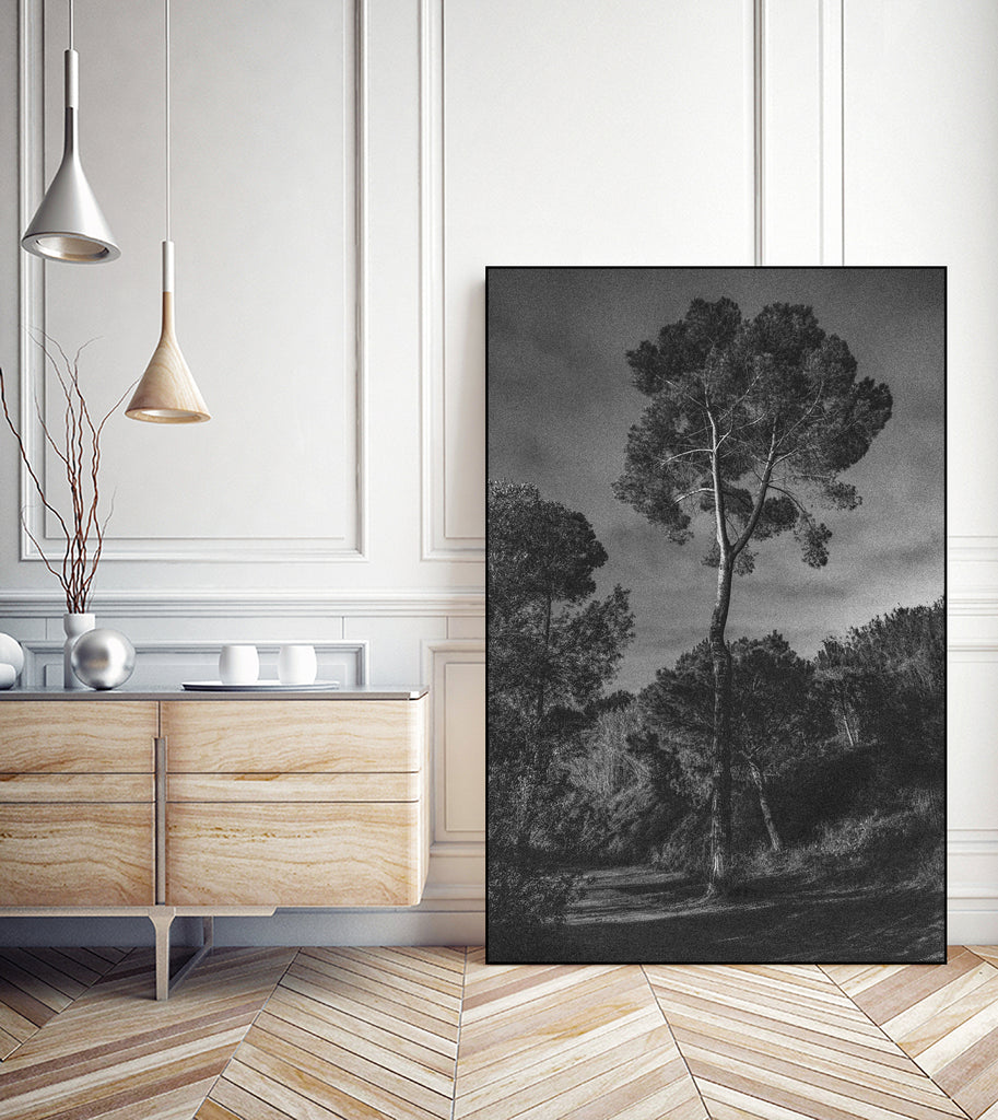 Arbores  by Pepa on GIANT ART - black botanical