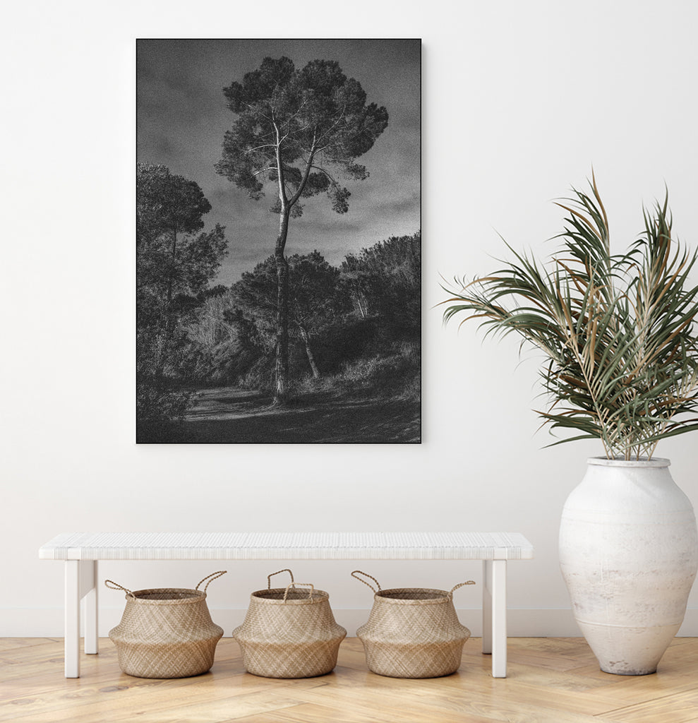 Arbores  by Pepa on GIANT ART - black botanical