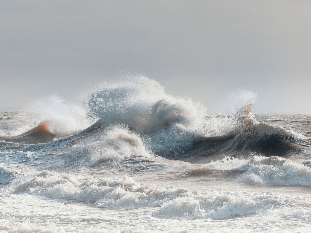 Crush by Patrice Michellon on GIANT ART - landscape drop