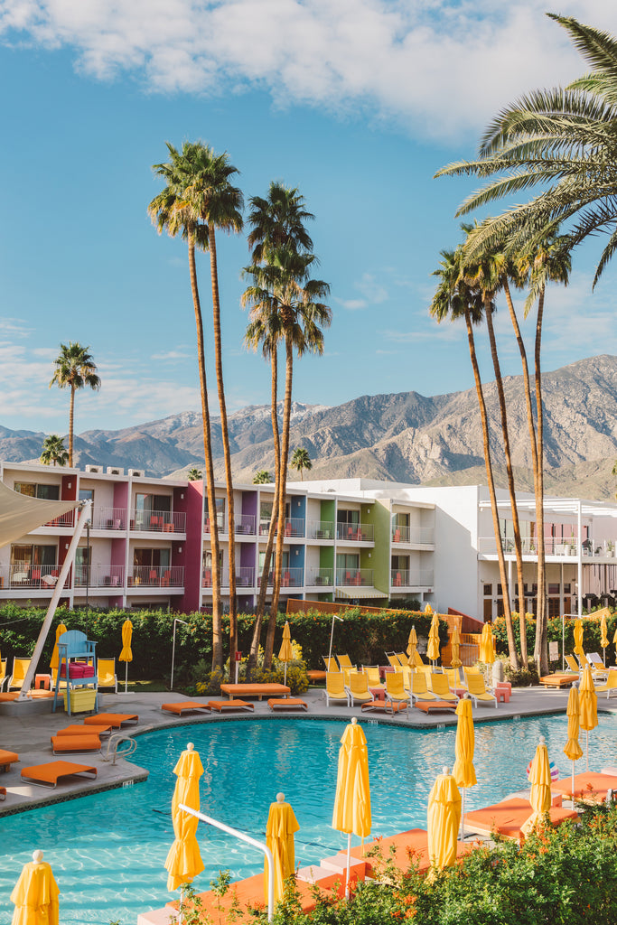 Palm Springs Saguaro by Bethany on GIANT ART - bleu young