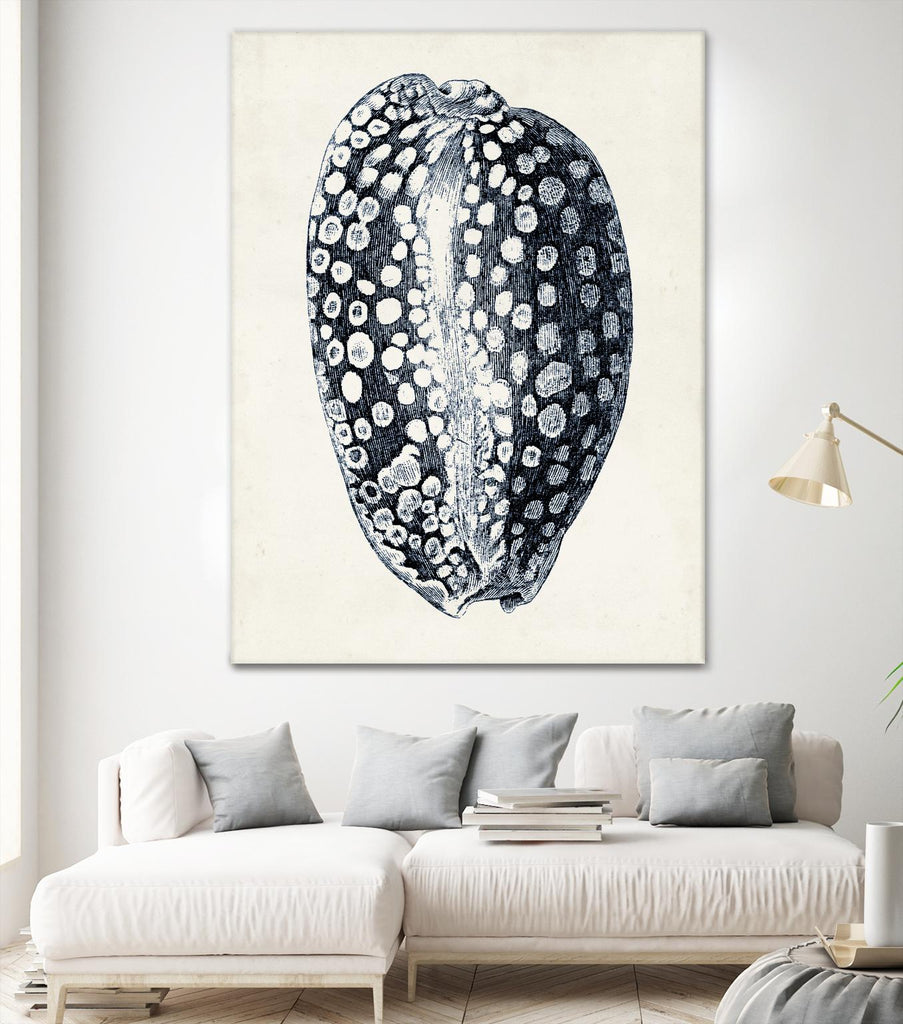 Coastal Collection in Indigo III by Vision Studio on GIANT ART - blue tropical framed canvas