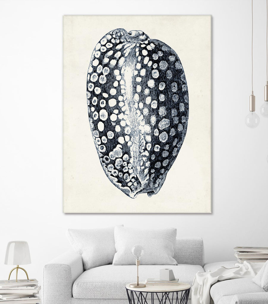 Coastal Collection in Indigo III by Vision Studio on GIANT ART - blue tropical framed canvas