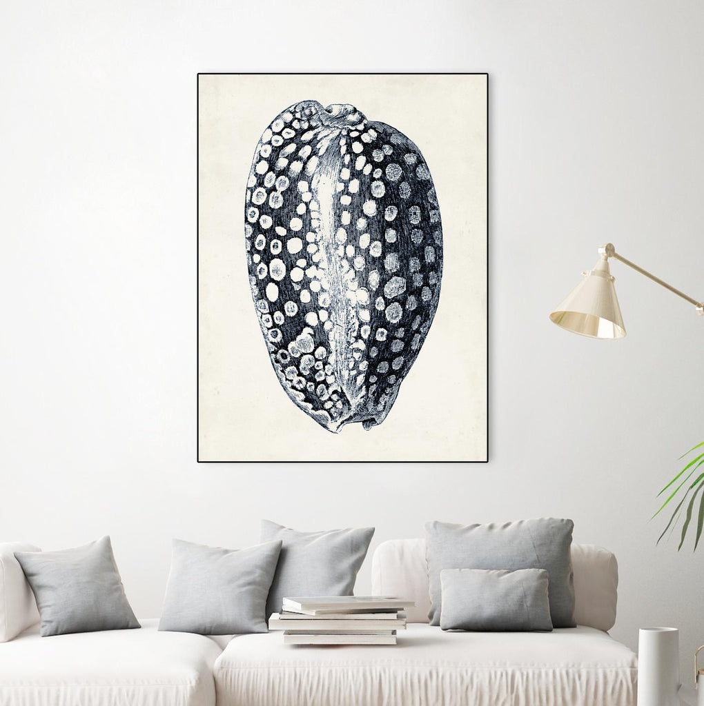 Coastal Collection in Indigo III by Vision Studio on GIANT ART - blue tropical framed canvas