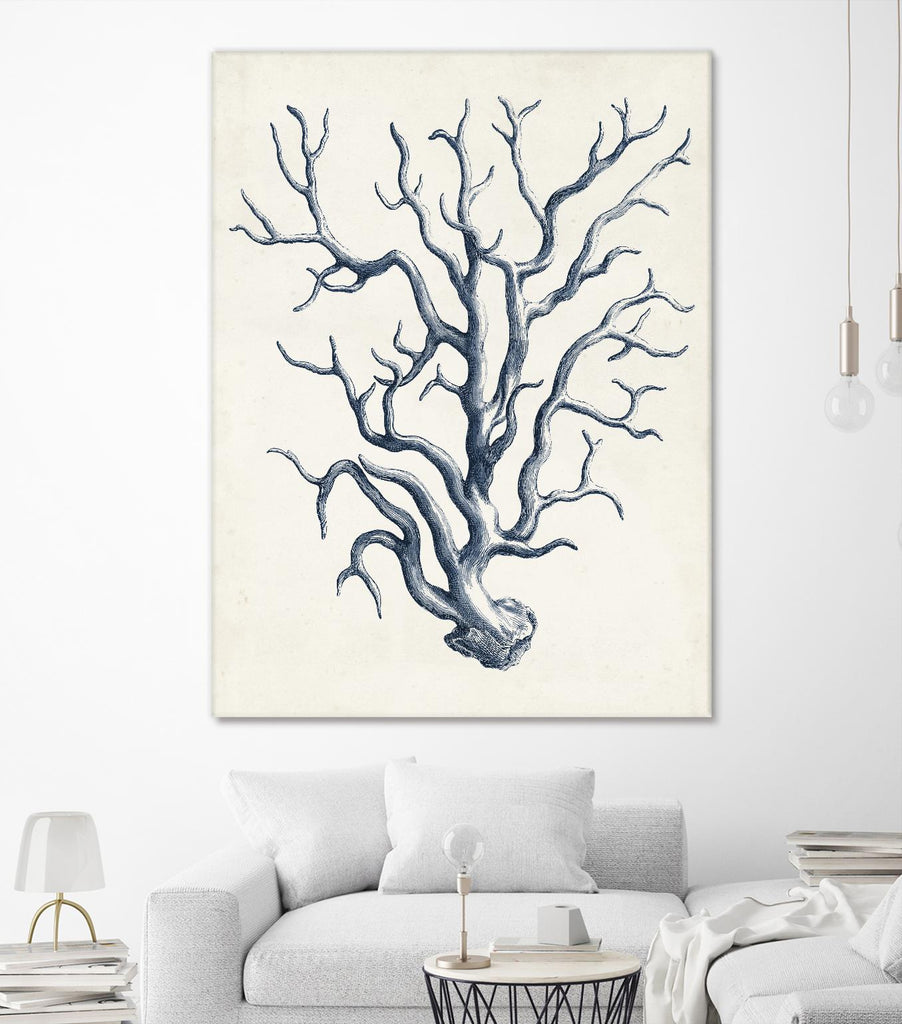 Coastal Collection in Indigo IV by Vision Studio on GIANT ART - blue tropical framed canvas
