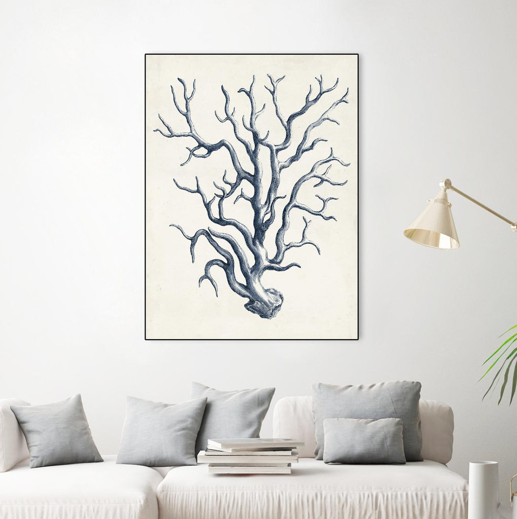 Coastal Collection in Indigo IV by Vision Studio on GIANT ART - blue tropical framed canvas