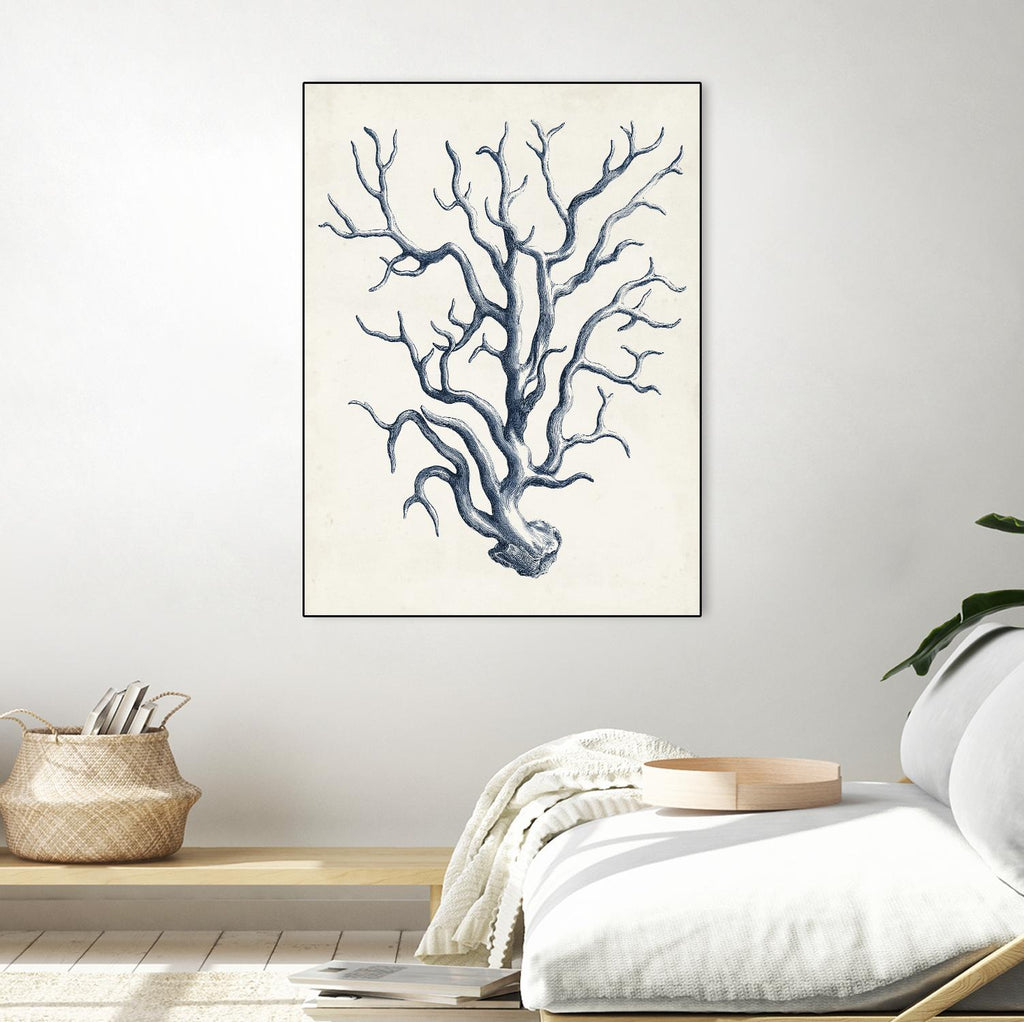 Coastal Collection in Indigo IV by Vision Studio on GIANT ART - blue tropical framed canvas